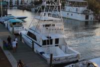 2016 10 28 GCO Halloween Sleep Out  (6).jpg